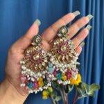 Alka Premium Earrings – Multi
