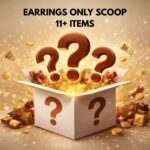 Regular Earrings Mystery Gift Box Scoop – 11+ Items